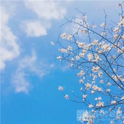 华体会登录(官方)APP下载app下载