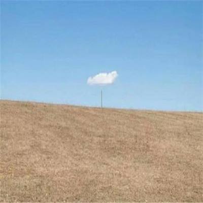 乐宝体育官网登录入口手机app下载